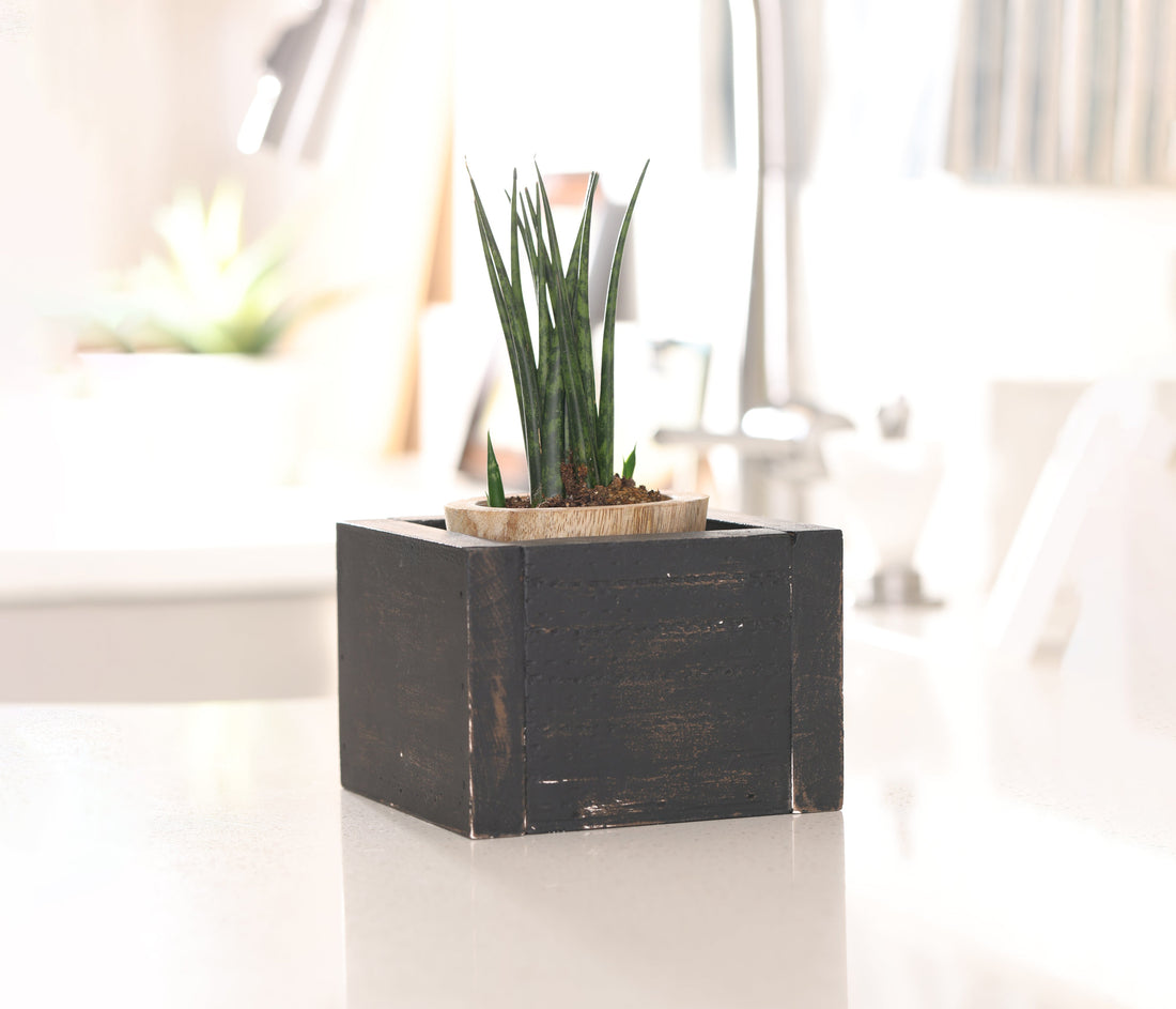 Creative Ways to Use Planters Indoors: Farmhouse Charm for Every Room