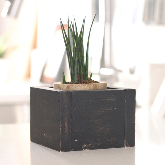 Farmhouse Distressed Black Planter Box