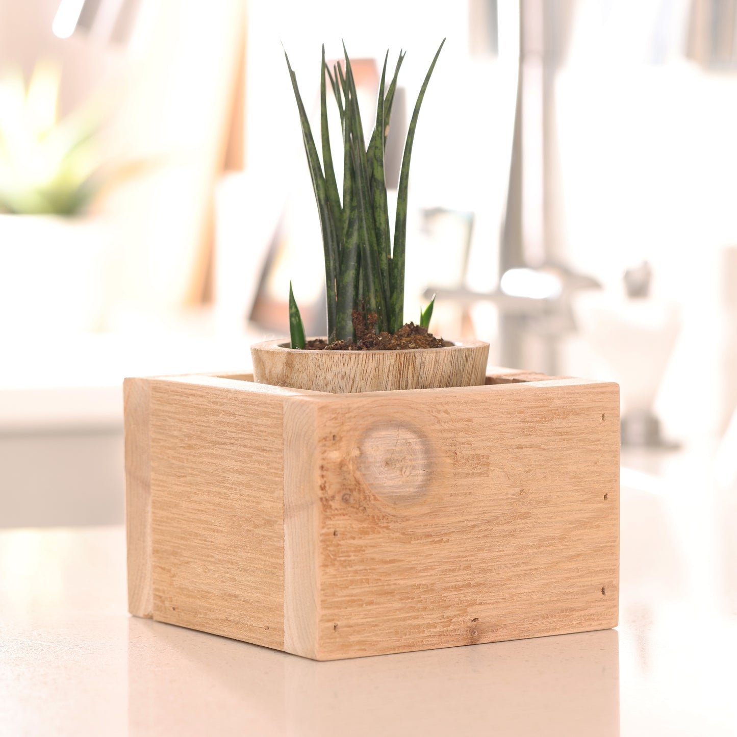 Small Cedar Wood Planter Box
