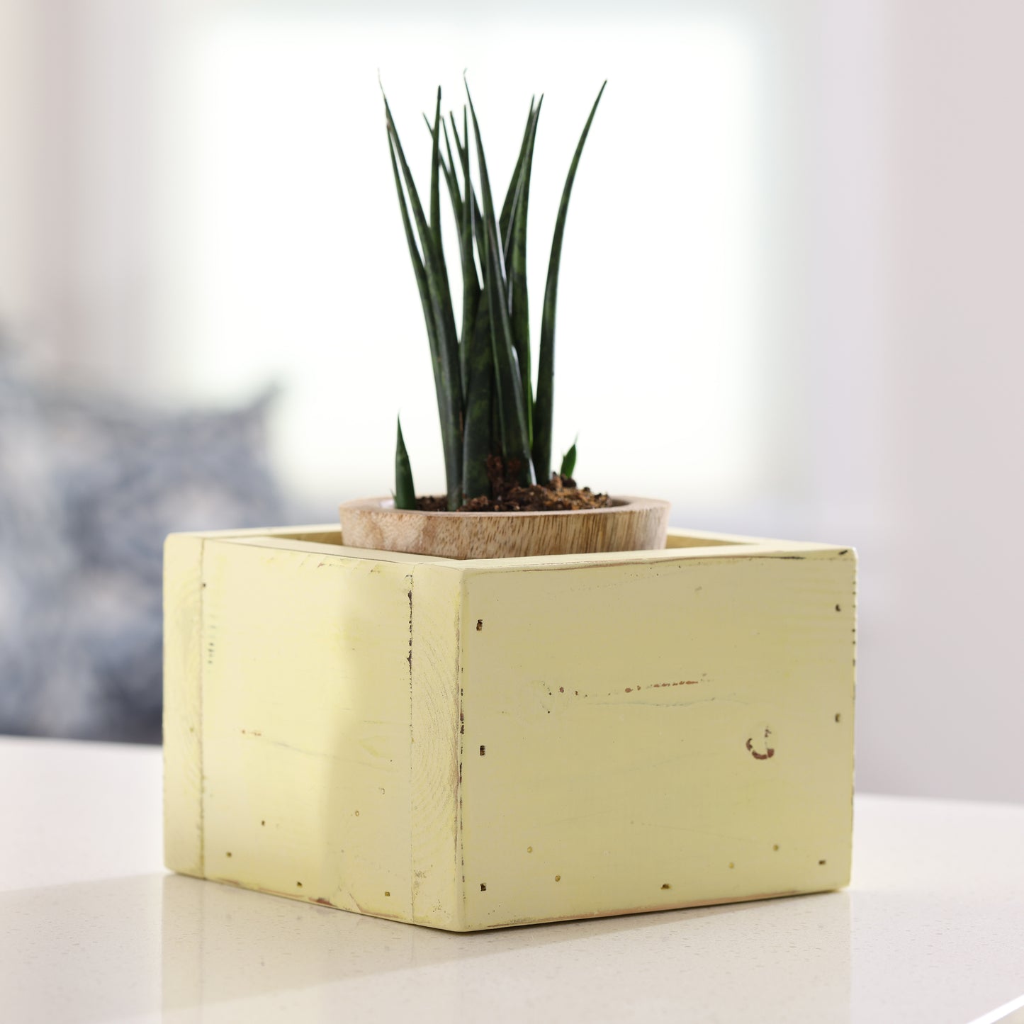 Farmhouse Yellow Planter Box