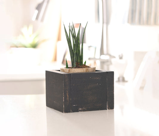 Creative Ways to Use Planters Indoors: Farmhouse Charm for Every Room
