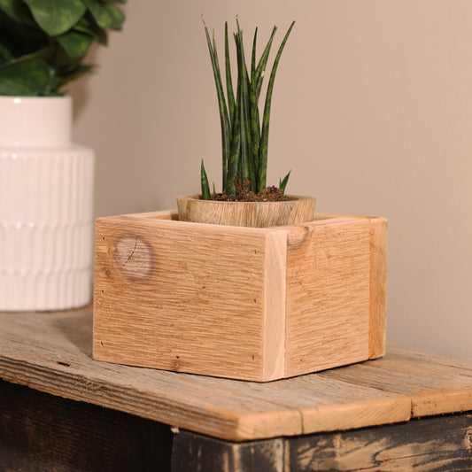Small Cedar Wood Planter Box