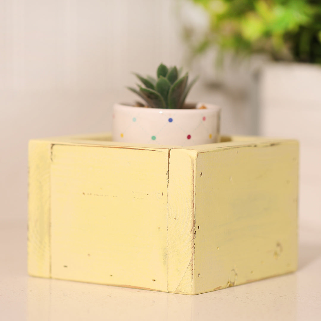 Farmhouse Yellow Planter Box