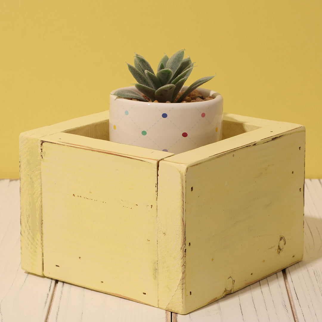 Farmhouse Yellow Planter Box