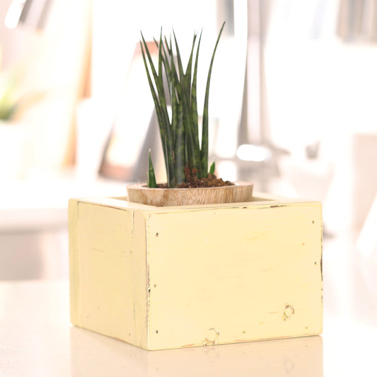 Farmhouse Yellow Planter Box
